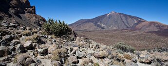 Ausblick von Wanderweg 5 Degollada de Guajara zum Teide