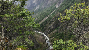 Blick auf den wild fließenden Bjoreio