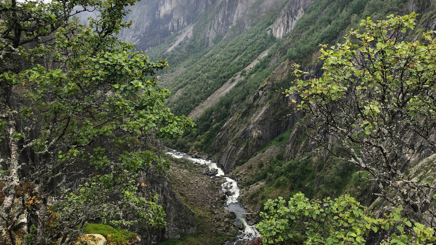 Blick auf den wild fließenden Bjoreio