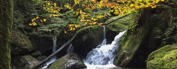 beeindruckende Wasserkaskaden und imposante Felsformationen an den Gertelbacher Wasserfällen