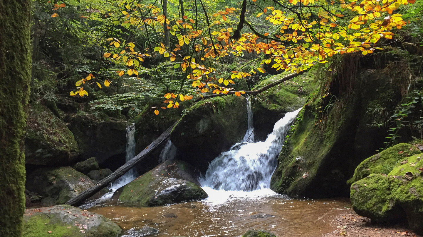 beeindruckende Wasserkaskaden und imposante Felsformationen an den Gertelbacher Wasserfällen