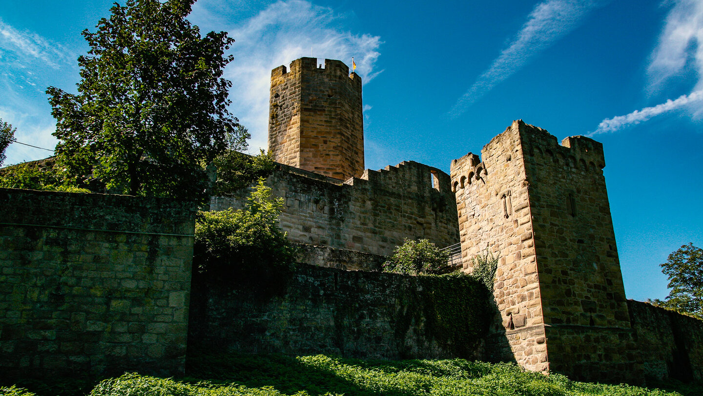 die Burg Steinsberg bei Sinsheim – Ein historisches Monument Burg Steinsberg bei Sinsheim