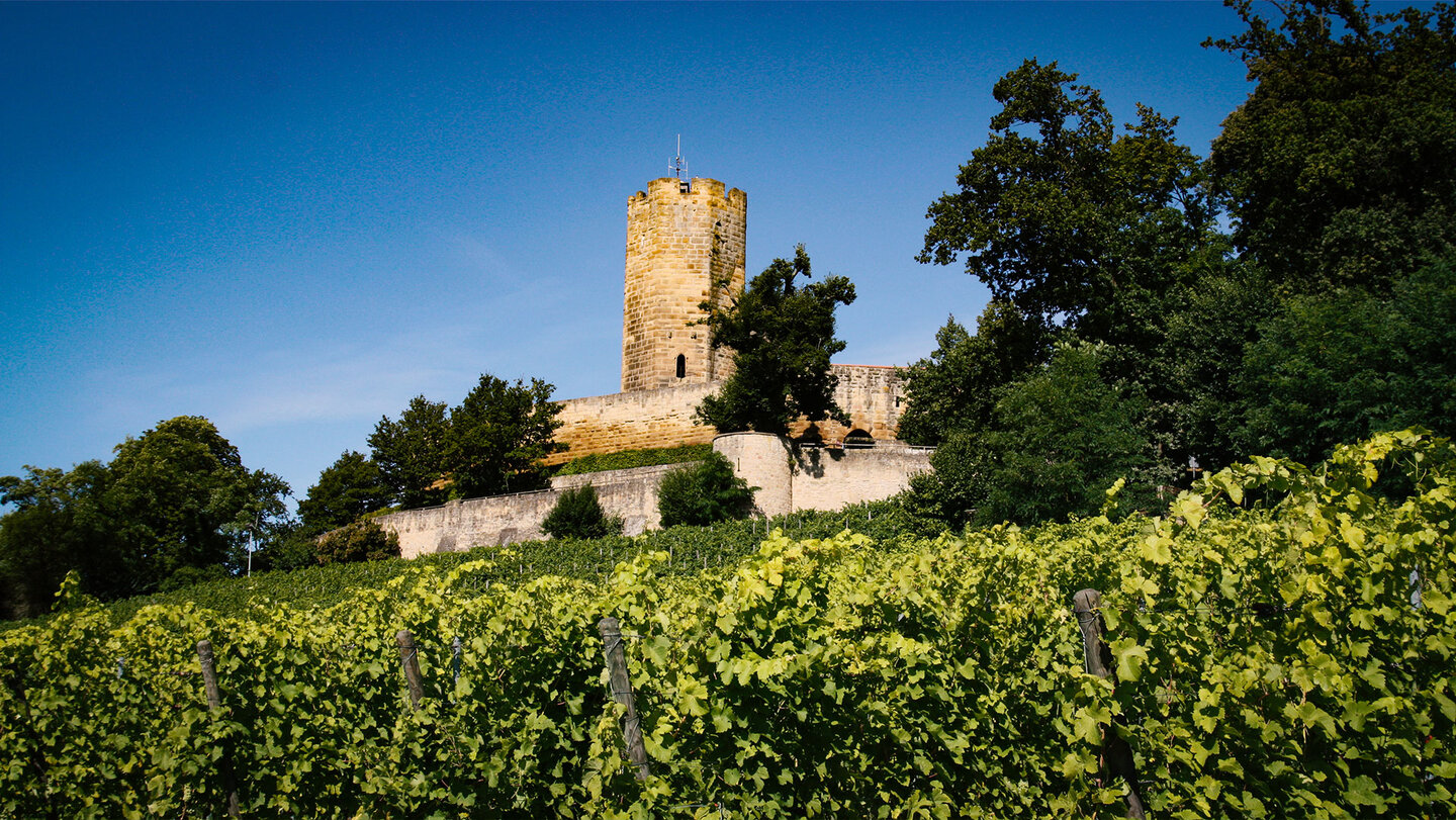 Weinberge unterhalb der Burg Steinsberg bei Sinsheim Weinberge unterhalb der Burg Steinsberg bei Sinsheim
