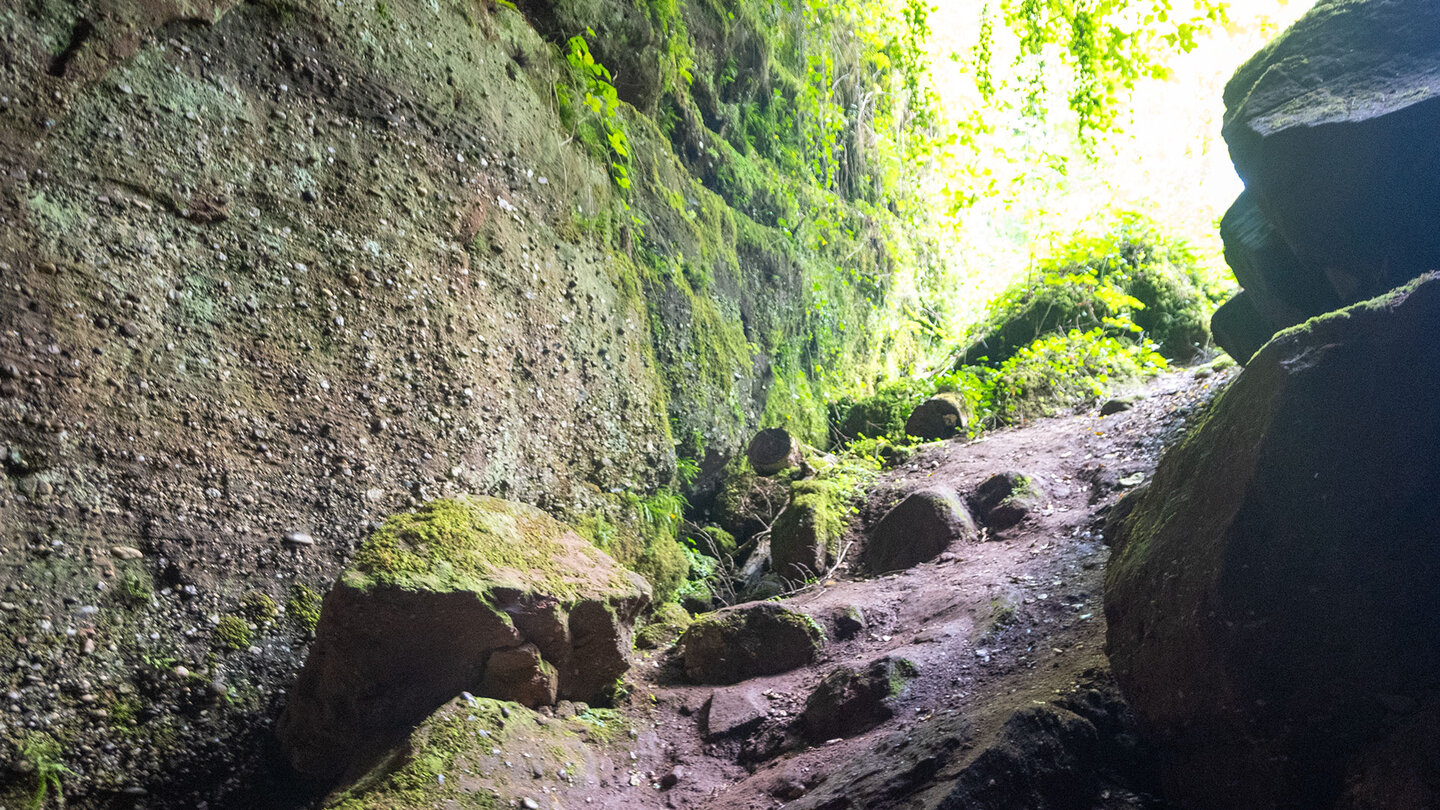 der Haspelfels gilt als wild-romantisch – mit Höhlen und Urwaldgefühl der Haspelfels gilt als wild-romantisch