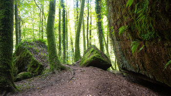 Wanderpfad am Haspelfels entlang der Teufelspfad-Route