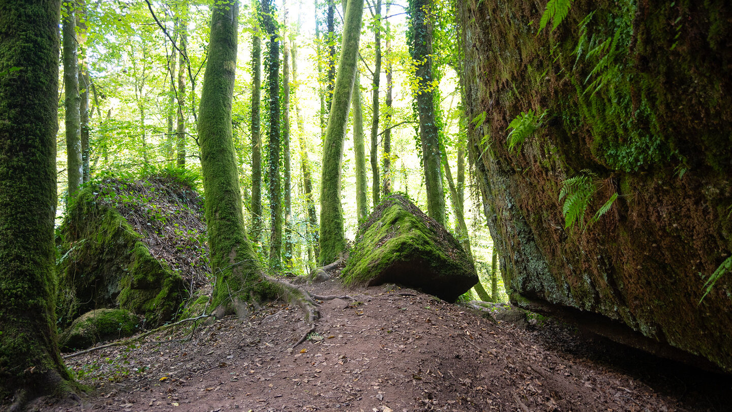 Wanderpfad am Haspelfels entlang der Teufelspfad-Route Wanderpfad am Haspelfels entlang der Teufelspfad-Route