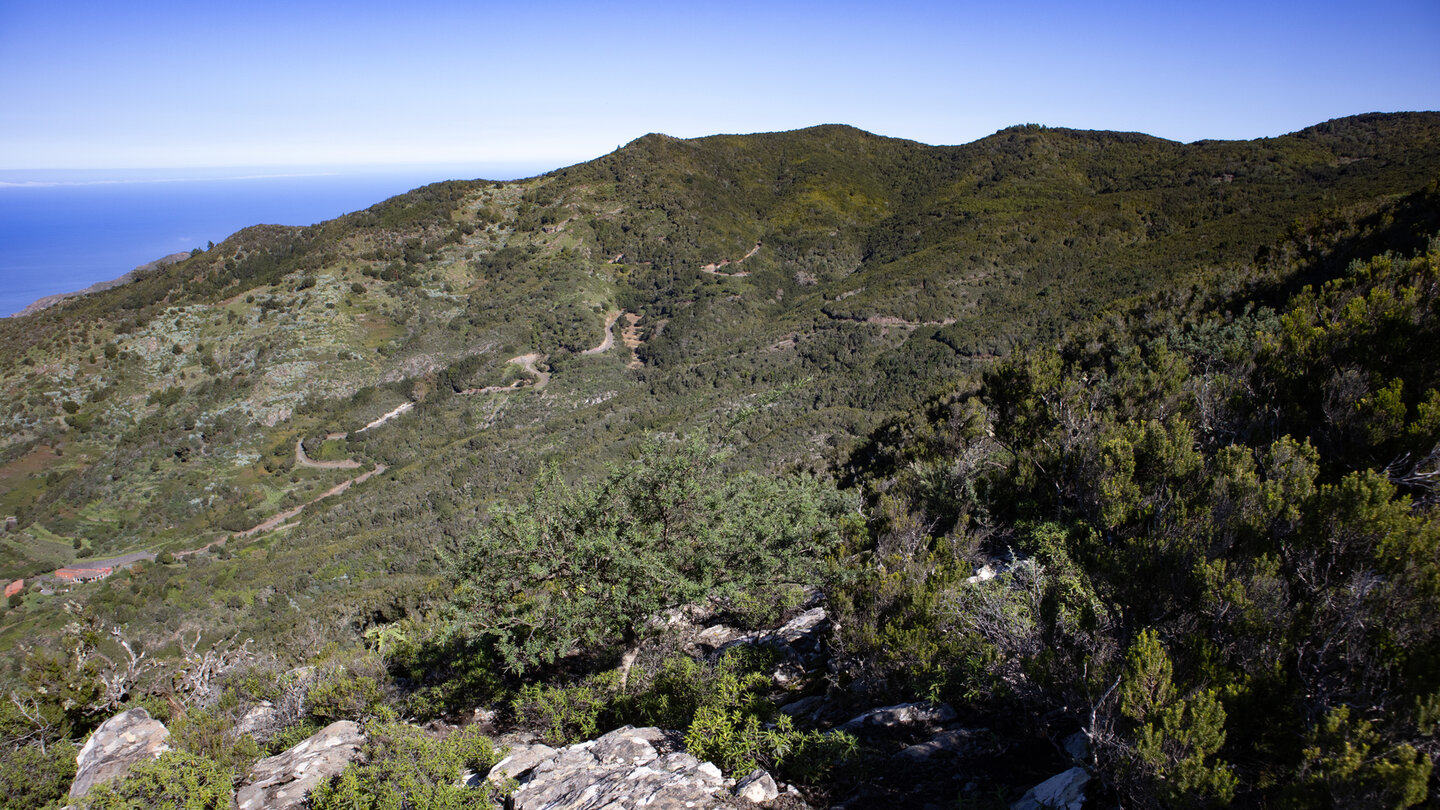 der Lorbeerwald Monte del Agua