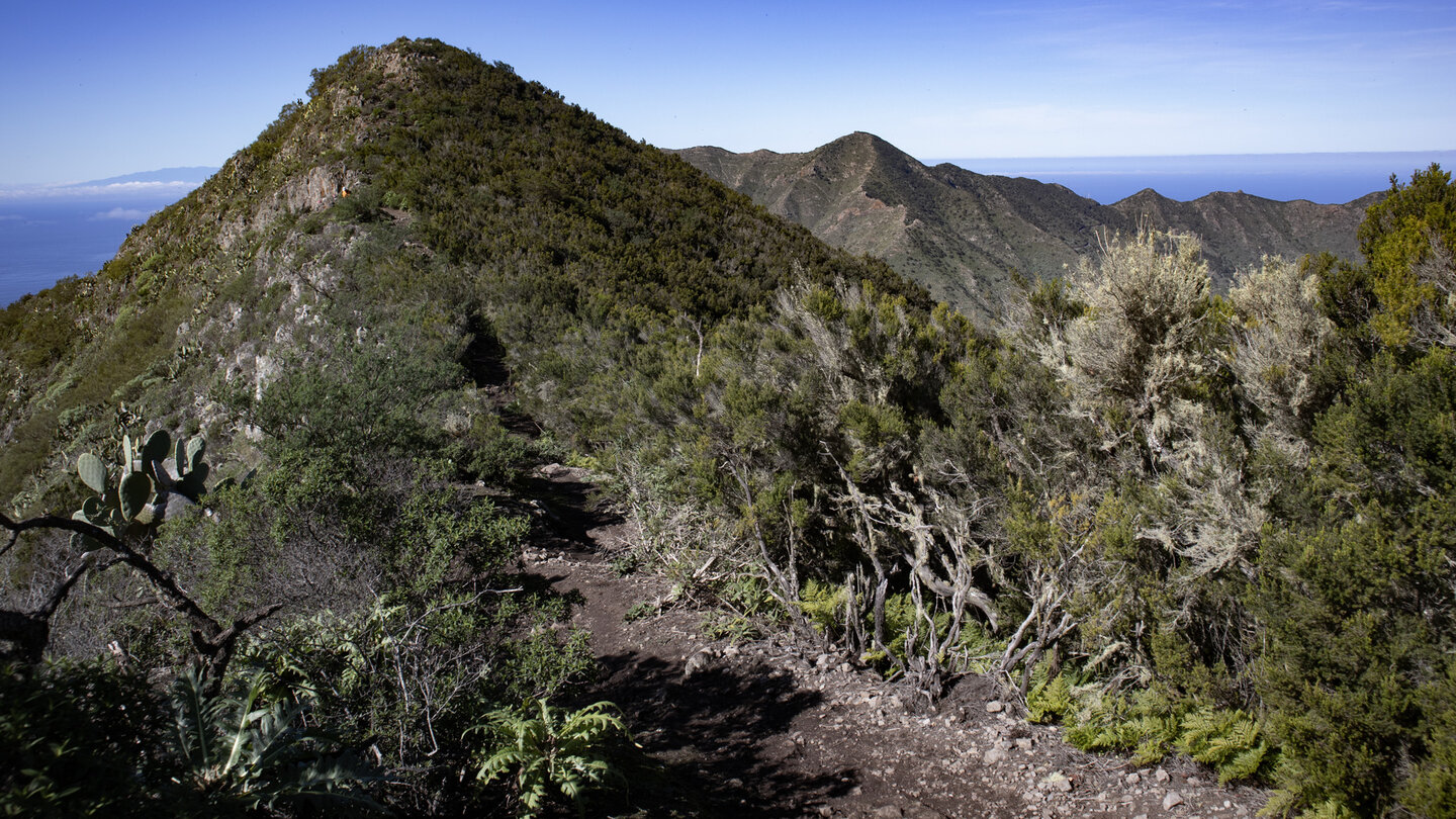 Vegetationszonen rechts und links der Cumbre