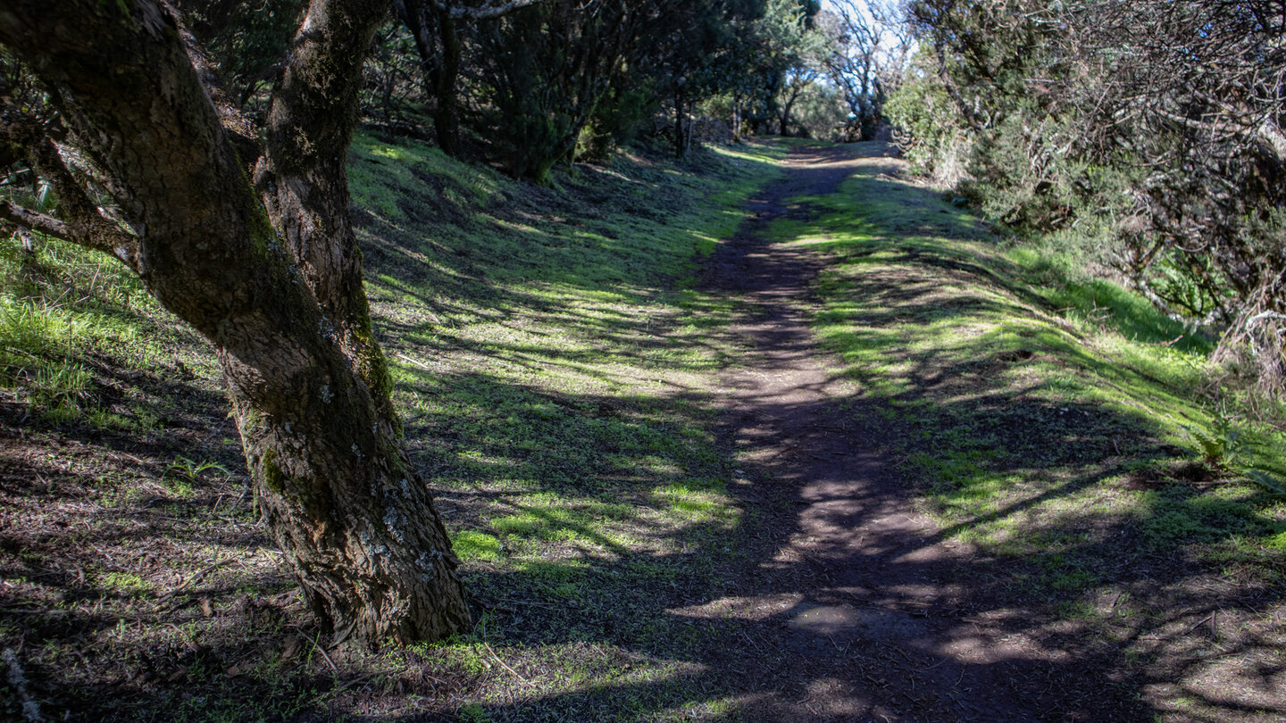 Wanderpfad entlang der Cumbre