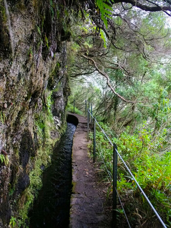 Wanderweg entlang der Levada do Caldeirão Verde