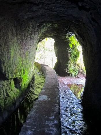 Tunnel am historischen Wasserweg Levada do Caldeirão Verde