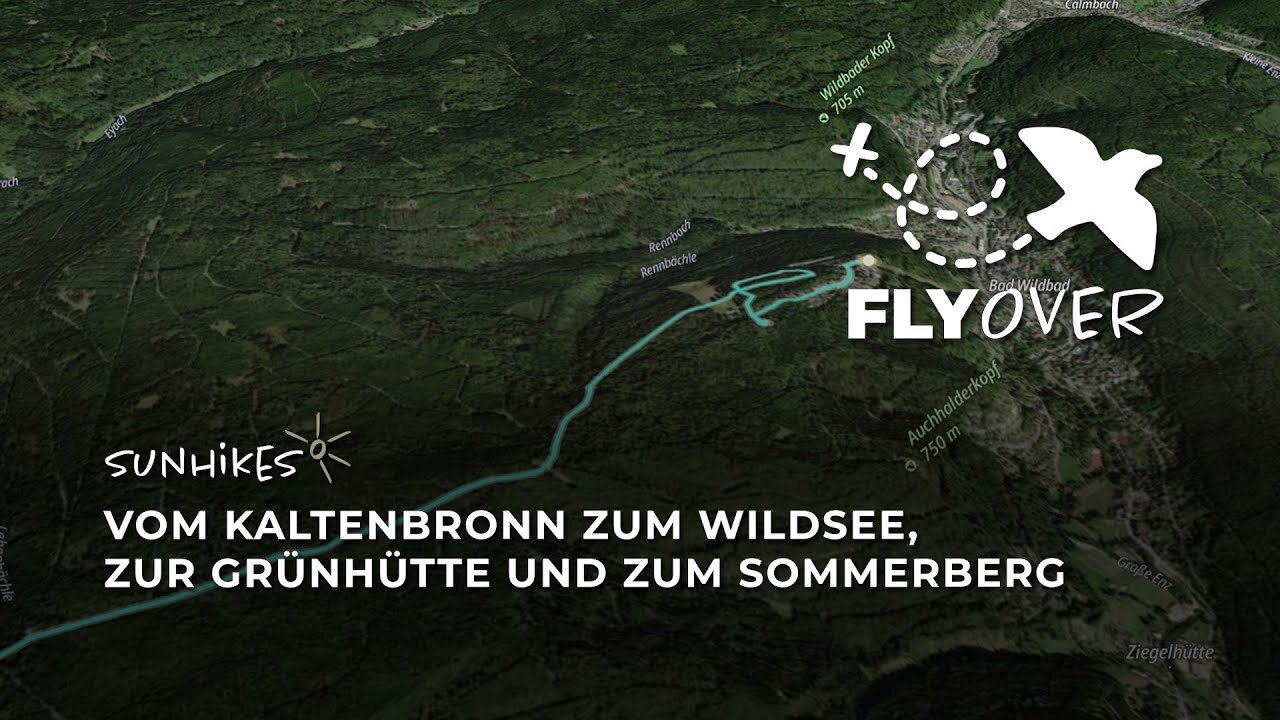 Vom Kaltenbronn zum Wildsee, zur Grünhütte und zum Sommerberg im Schwarzwald – Flyover