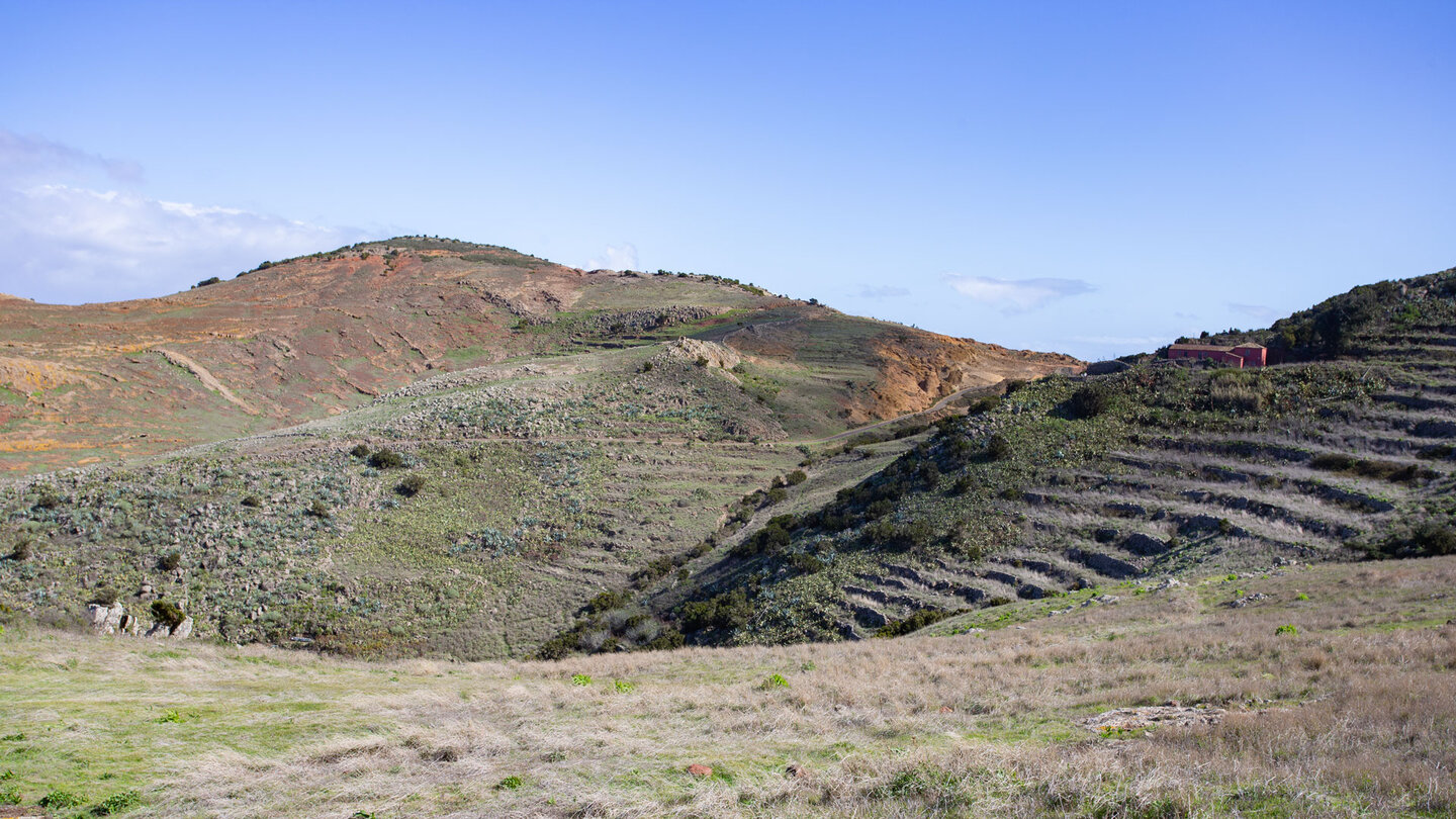 sanfte Hügellandschaft mit terrassierten Feldern bei Teno Alto