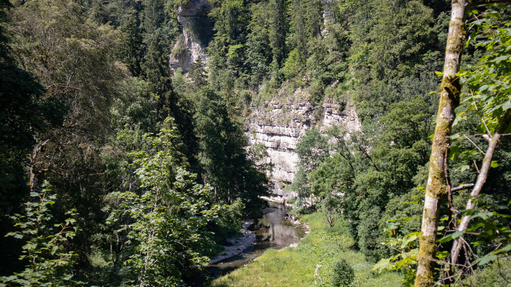 Muschelkalkwände der tief eingeschnittenen Wutachschlucht