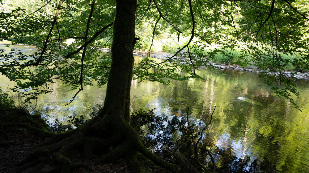 am Bachlauf entlang der Wutach führt auch der Querweg Freiburg-Bodensee