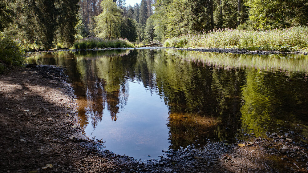 die Wutach nahe der Rötenbachmündung