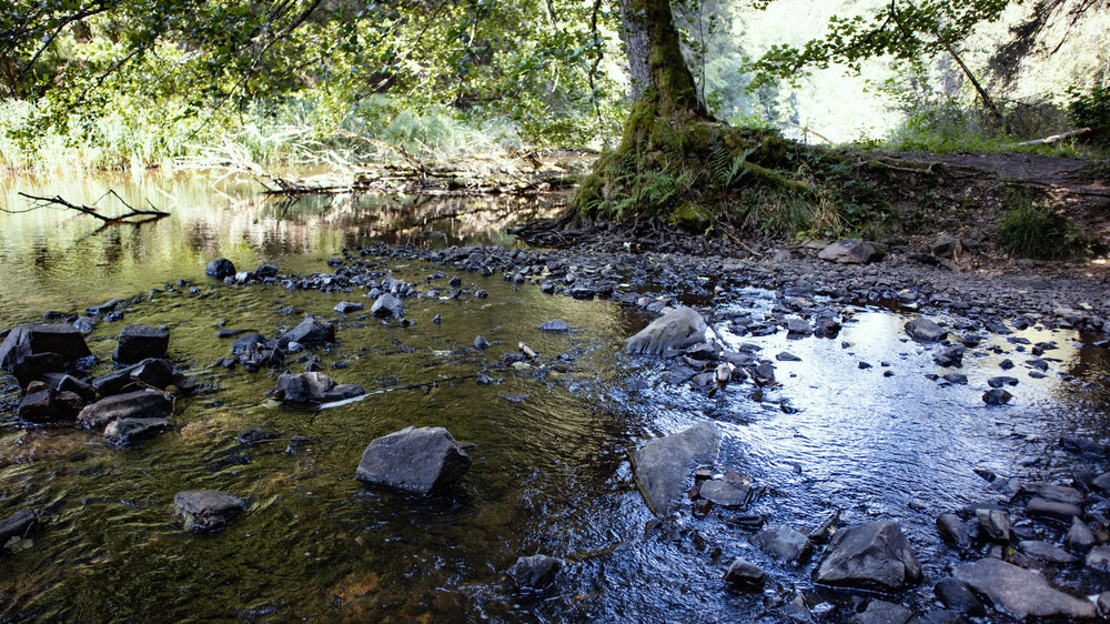 Rötenbachmündung in die Wutach