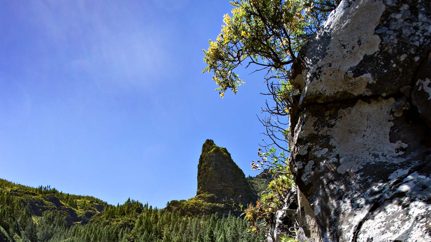 Blick auf eine Felsspitze vom Órganos Höhenwanderweg