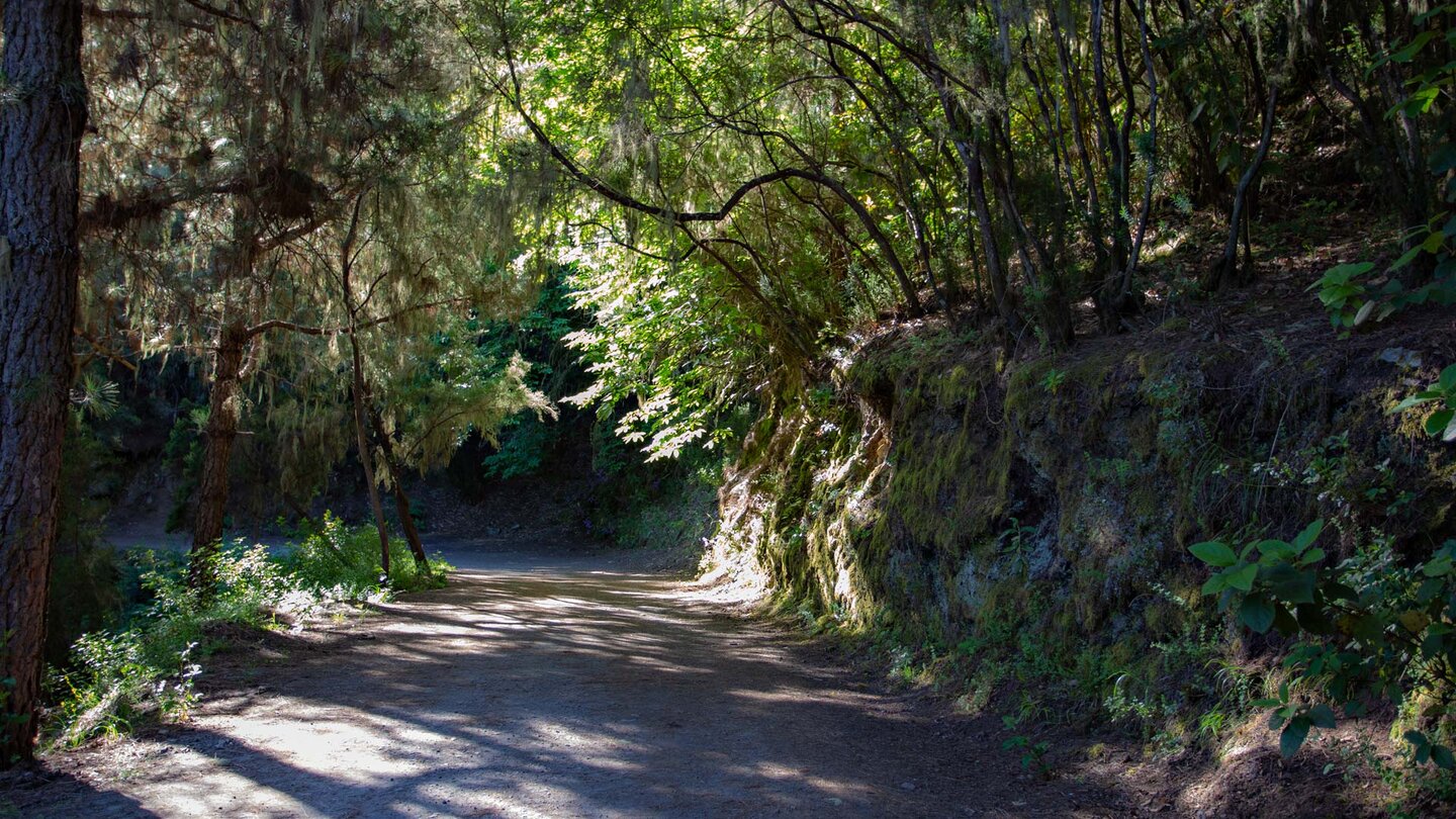 Wanderweg Los Órganos auf der Pista de Mamio