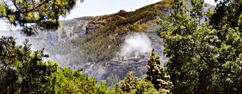 die Los Órganos von La Caldera