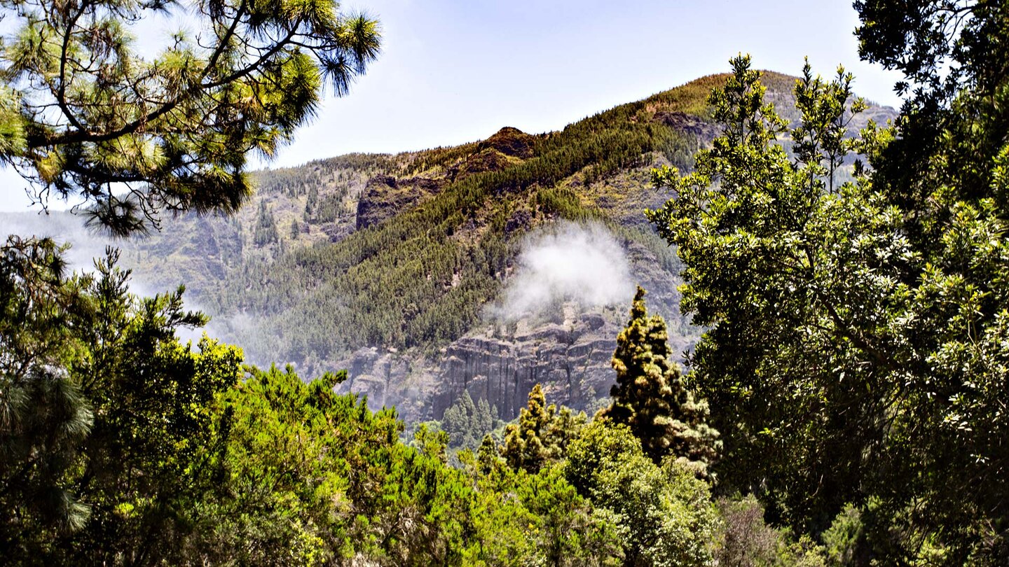 die Los Órganos von La Caldera