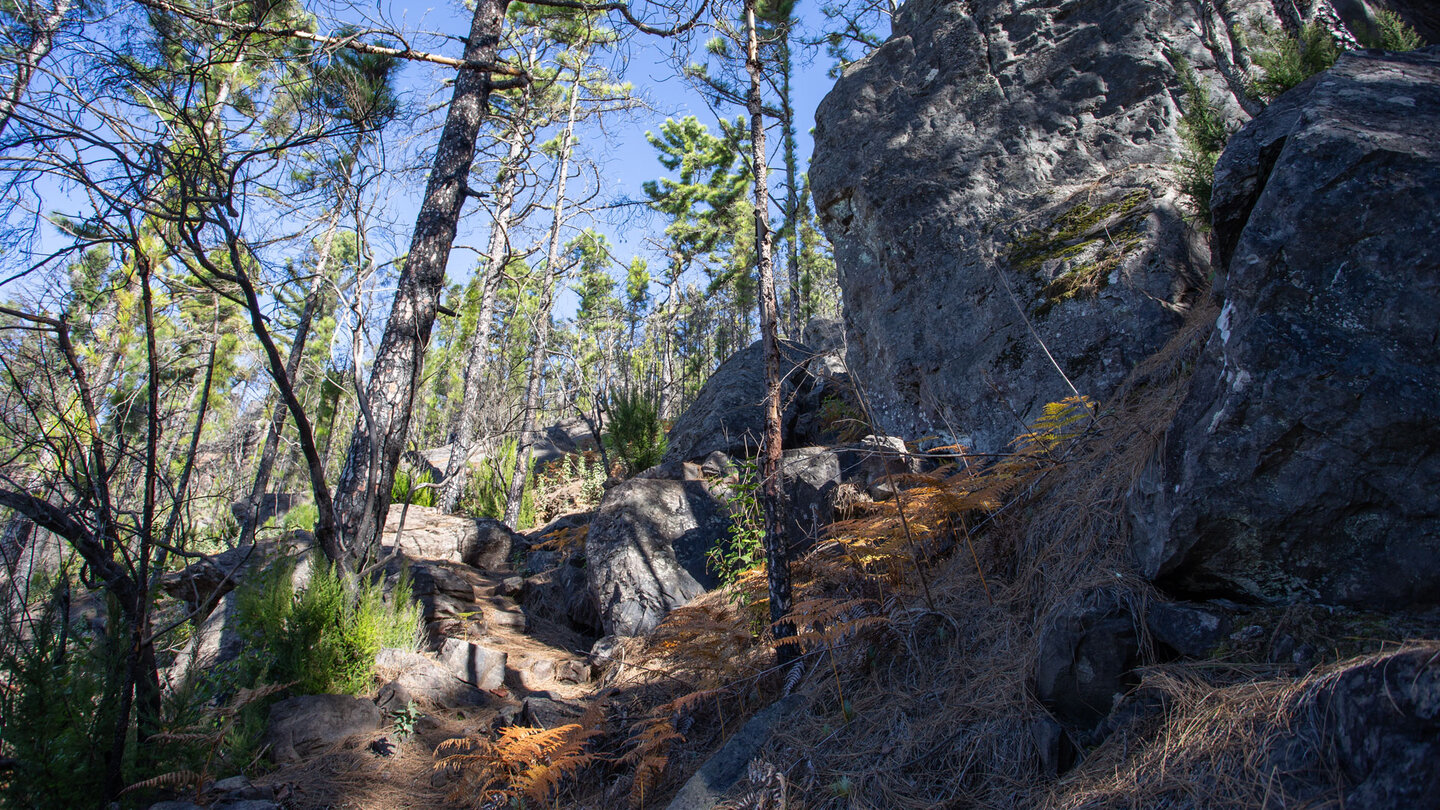 Wanderweg vom Rastplatz Llanos de la Mimbre zum Roque de Faneque