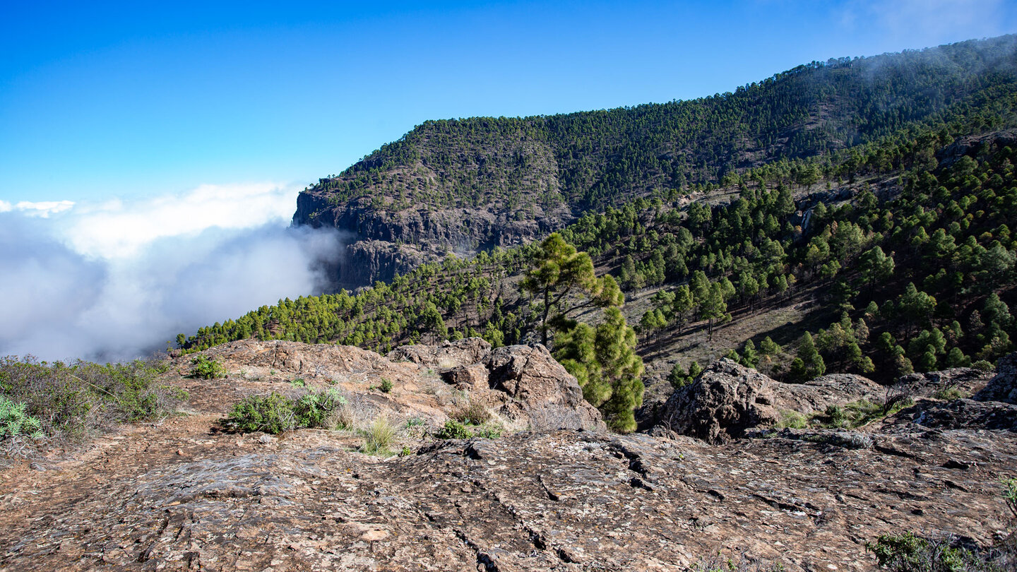 Abbruchkante der Felsklippen entlang des Wanderwegs zum Roque Faneque im Naturpark Tamadaba