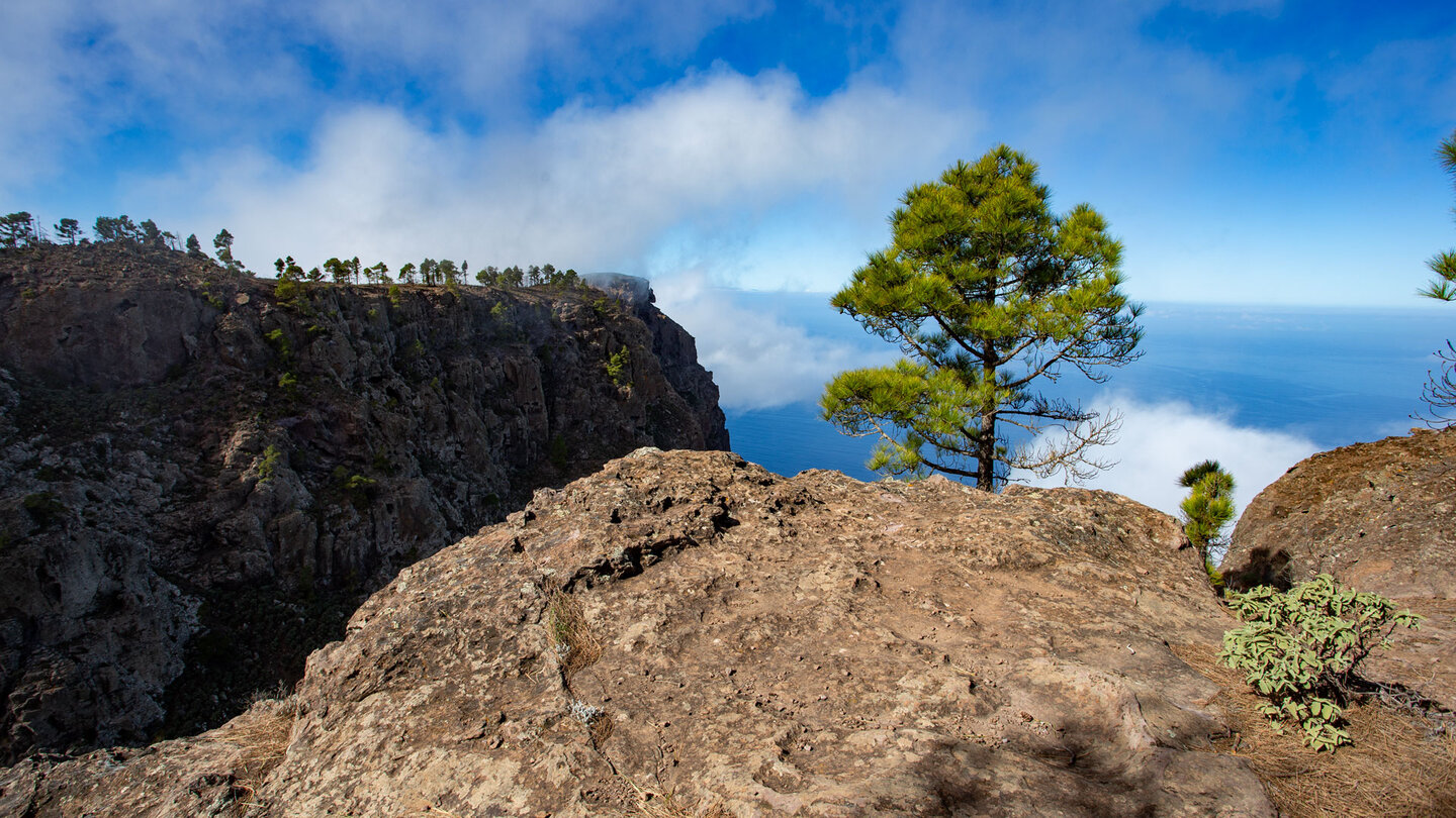 Aussichtspunkt mit Blick auf den Roque de Faneque