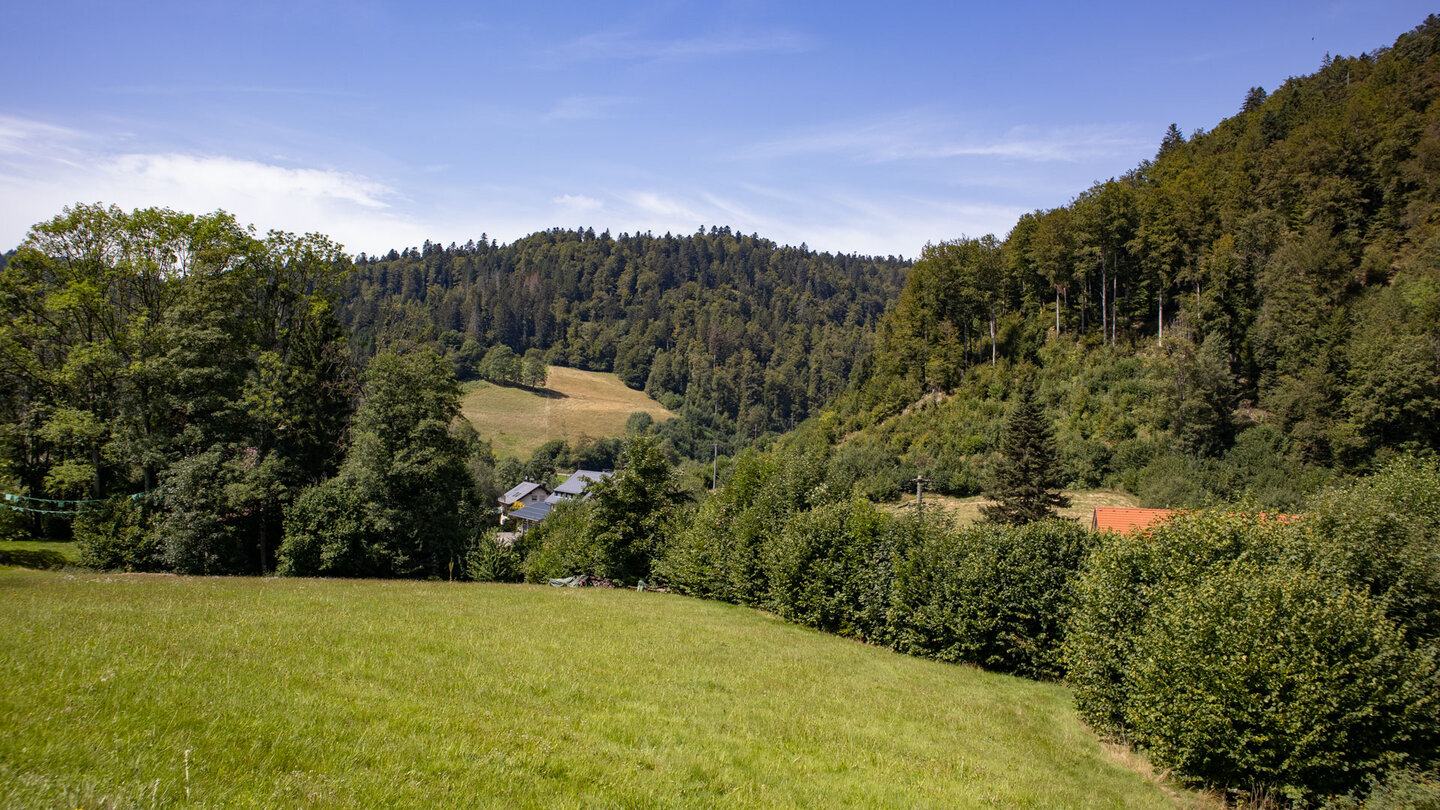 Wiesenlandschaft im oberen Wehratal