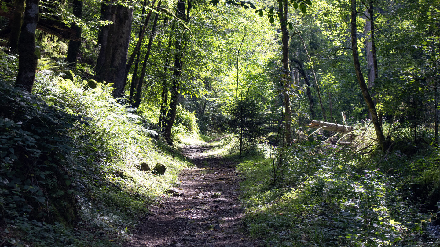 der Schluchtensteig-Wanderweg quert die Wehraschlucht