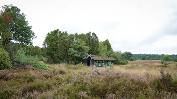 Bienenstöcke in der Lüneburger Heide