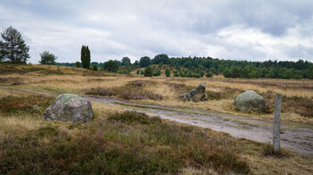 Findlinge am Heidschnuckenweg