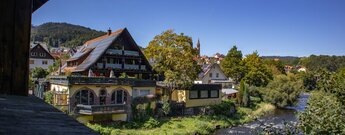 die Murg bei Forbach