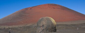 gewaltige Vulkanbombe vor dem rot leuchtenden Montaña Colorada