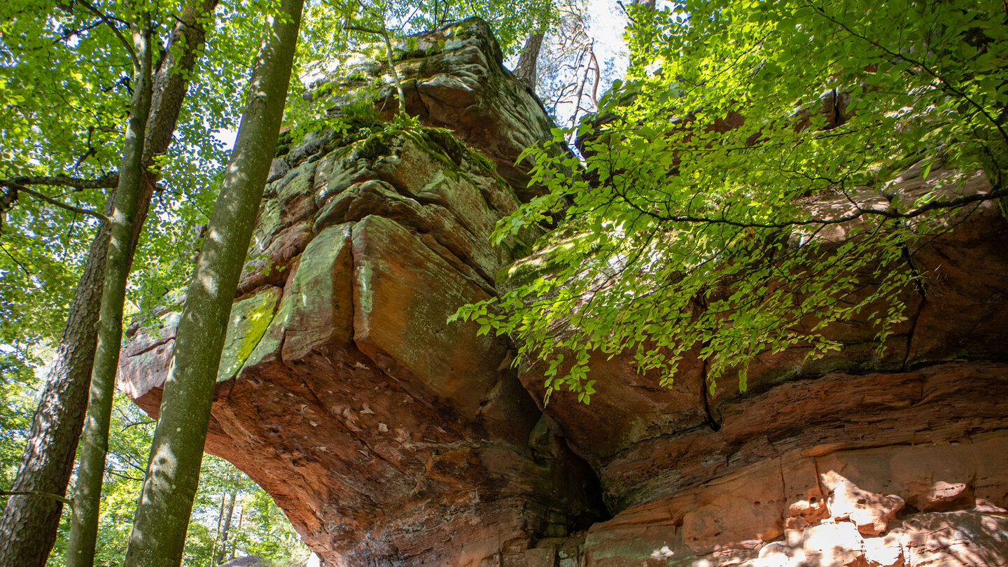 quaderförmige Gesteinsblöcke der Hohlen Felsen