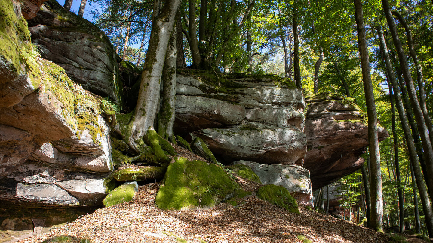 Wanderweg entlang der Felsformation Hohle Felsen