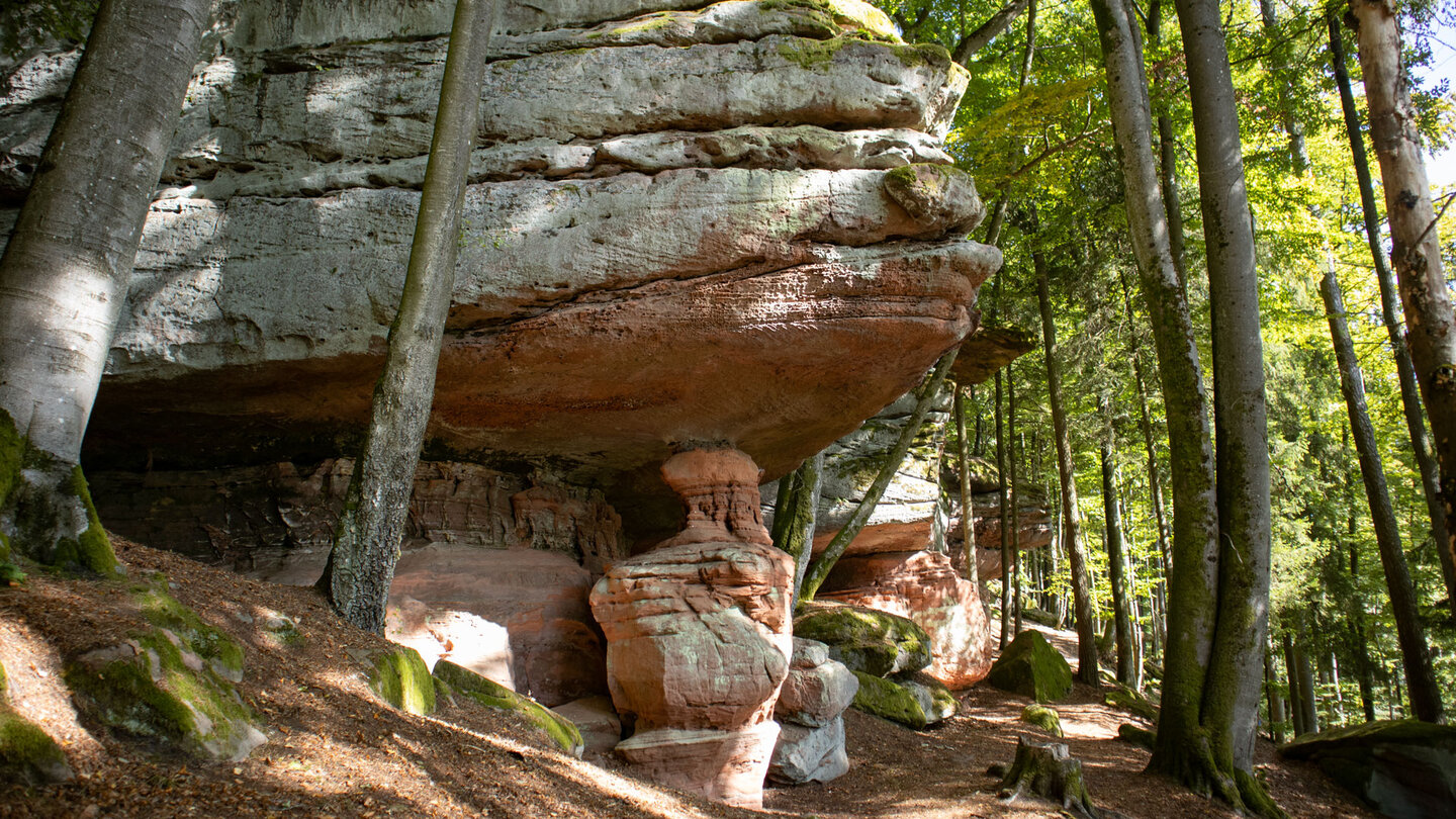 Säulen stützen das Sandsteinriff Hohle Felsen