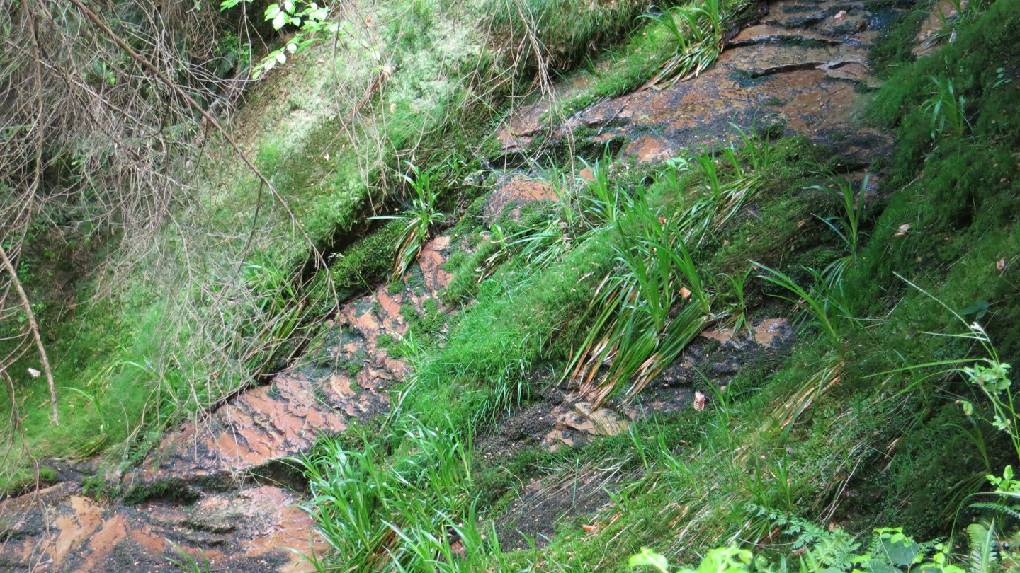 vom Wasser geschliffene Felsen beim Seitenbach Wasserfall