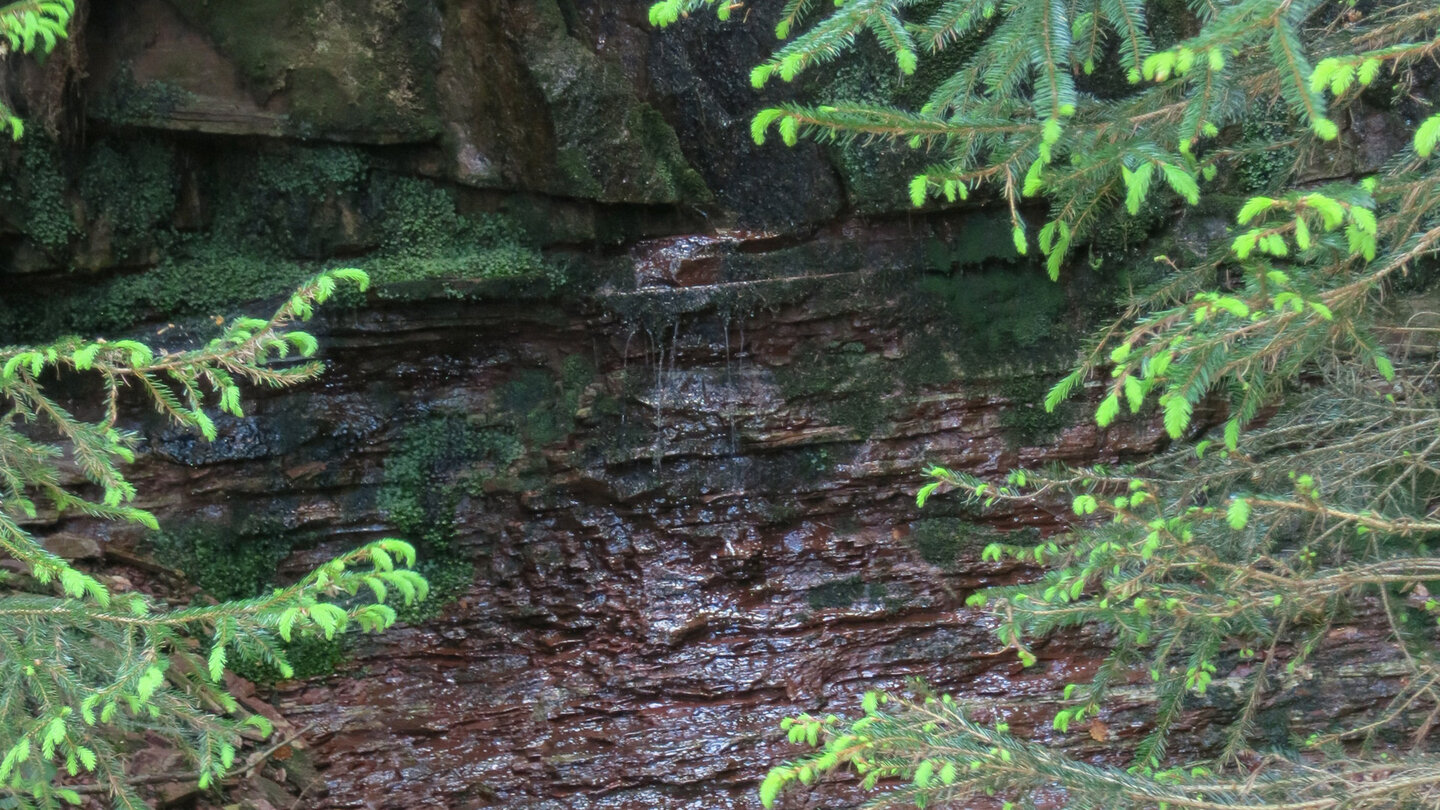 kleines Rinnsal nahe des Seitenbach Wasserfalls