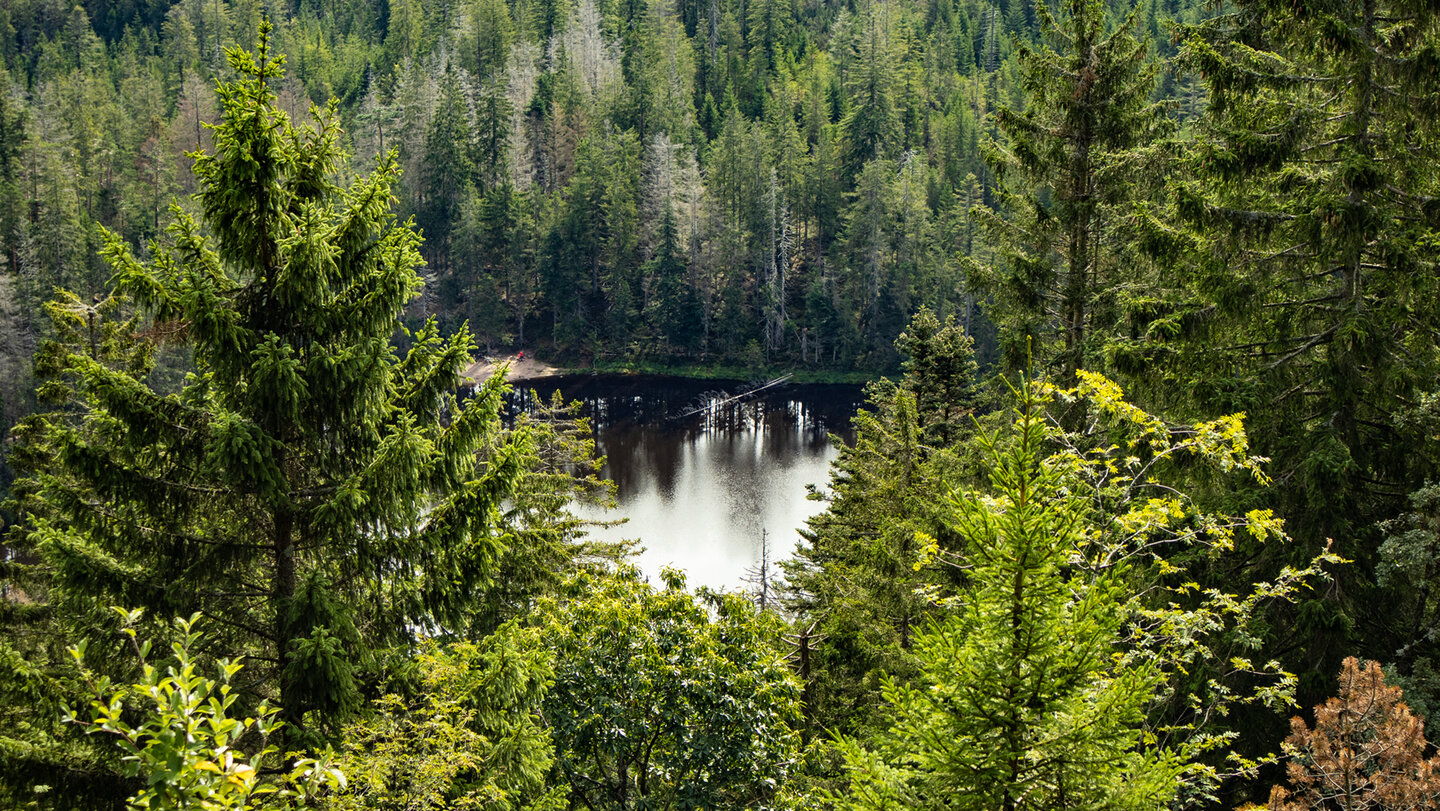 Blick hinunter auf den Wildsee