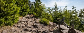 Aufstieg zur Honisgrinde ist Aussichtsreich