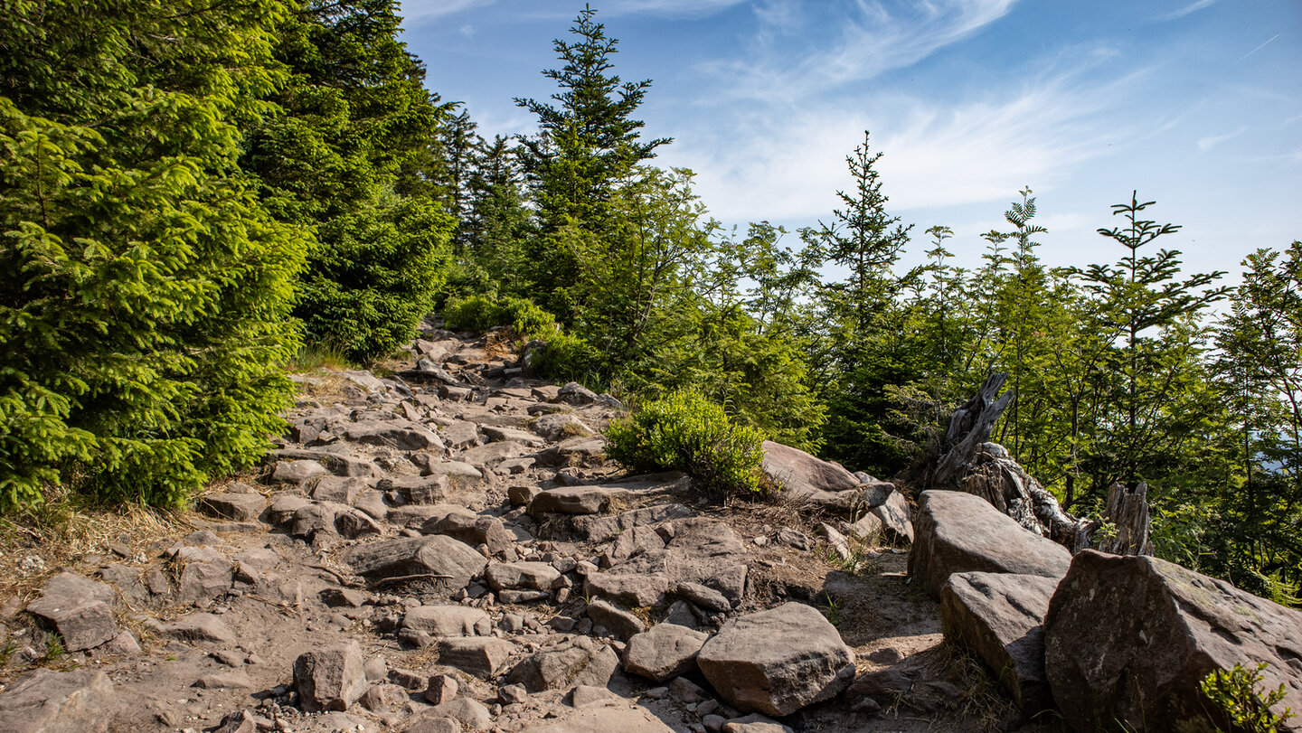 Aufstieg zur Honisgrinde ist Aussichtsreich