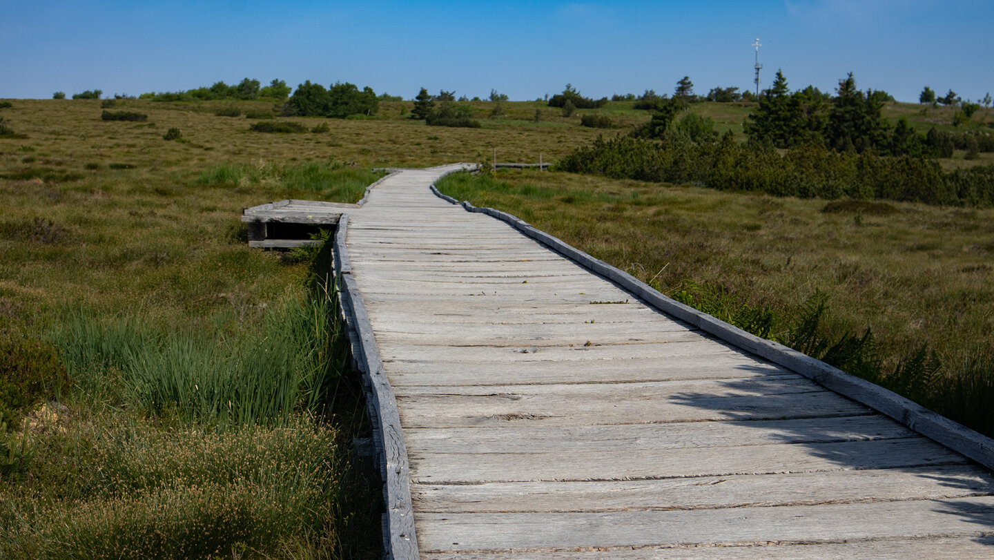 Bohlenweg führt über das Hochmoor