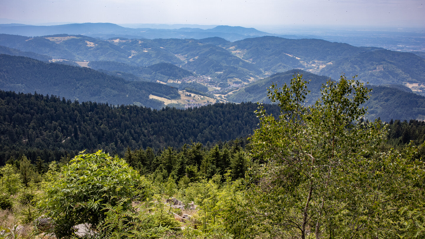 Weitblick über Seebach