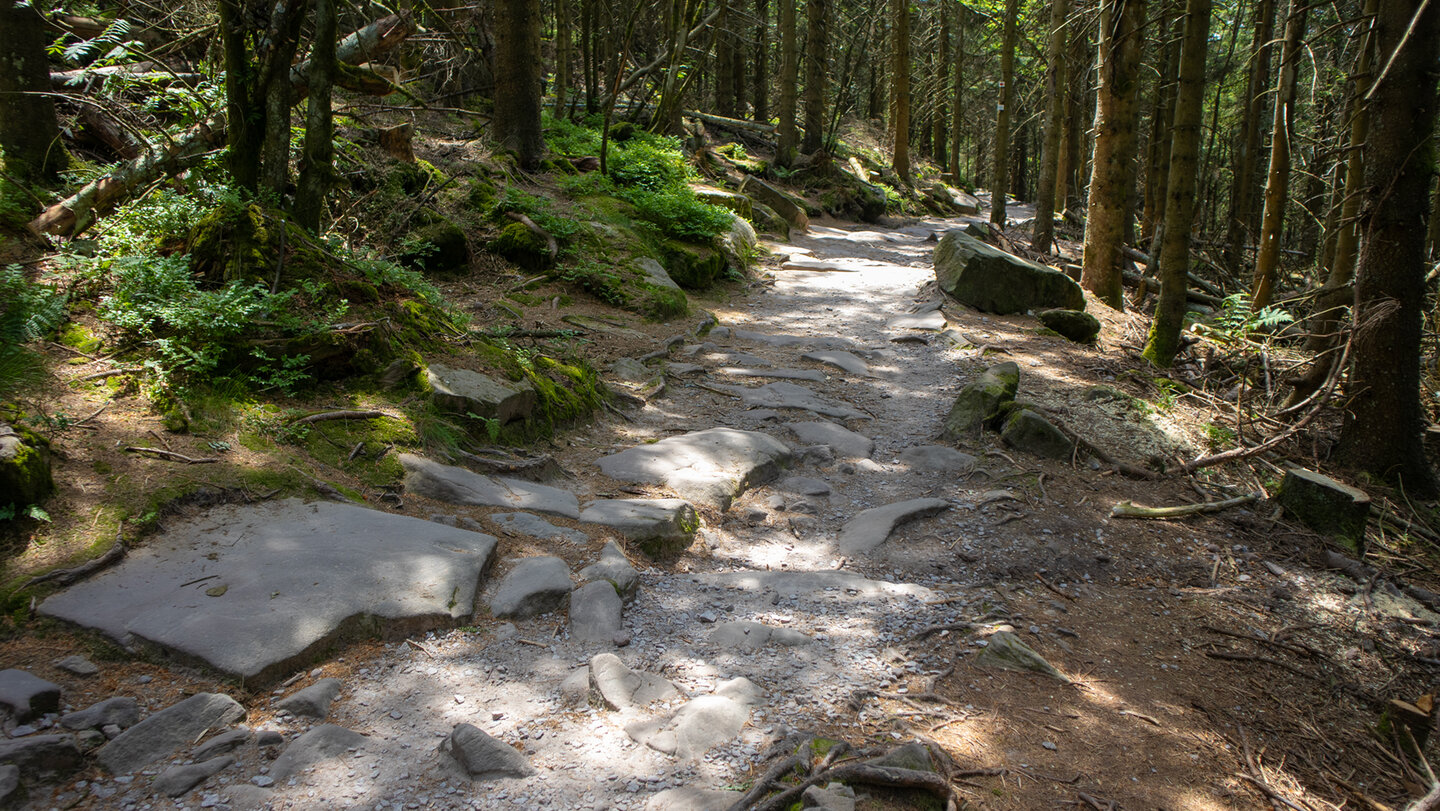 Abstiegspfad von der Honrisgrinde