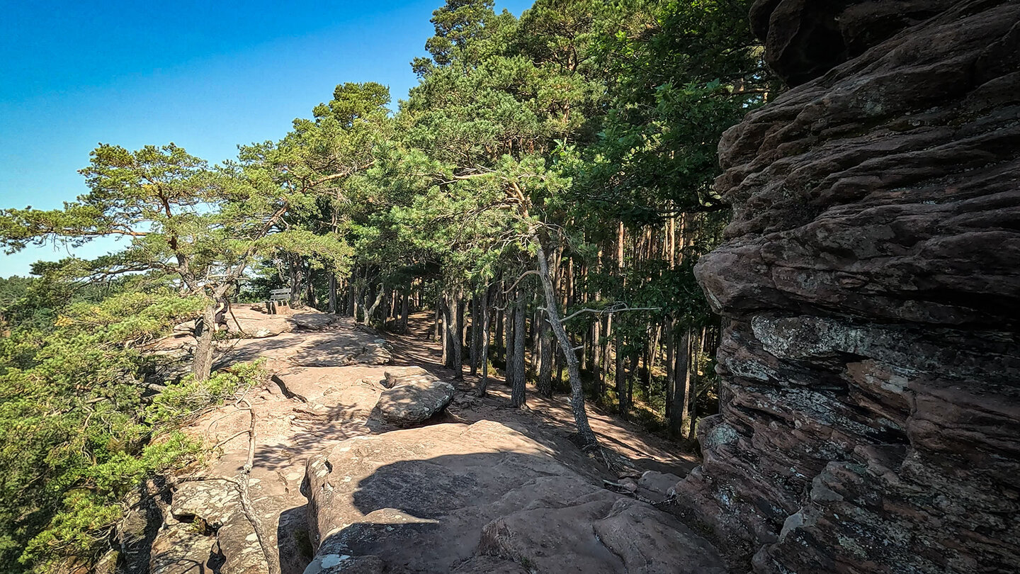 großartiger Aussichtspunkt am Rötzenfelsen bei Dimbach Aussichtspunkt am Rötzenfelsen bei Dimbach