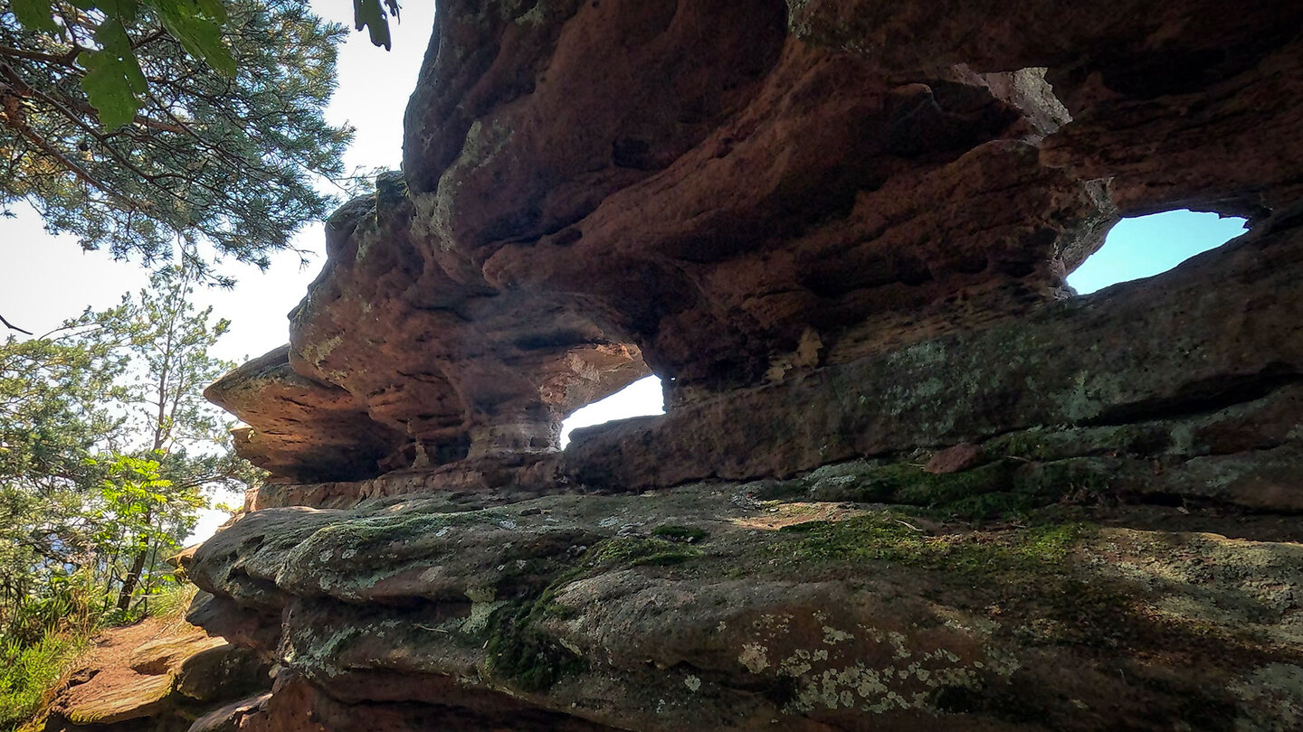 Felsformation am Rötzenfelsen im Wasgau Felsformation am Rötzenfelsen im Wasgau