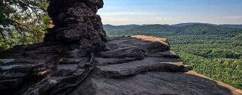 Panorama vom Rötzenfelsen auf den Pfälzerwald