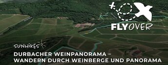 Durbacher Weinpanorama: Wandern durch Weinberge und Panorama – Flyover