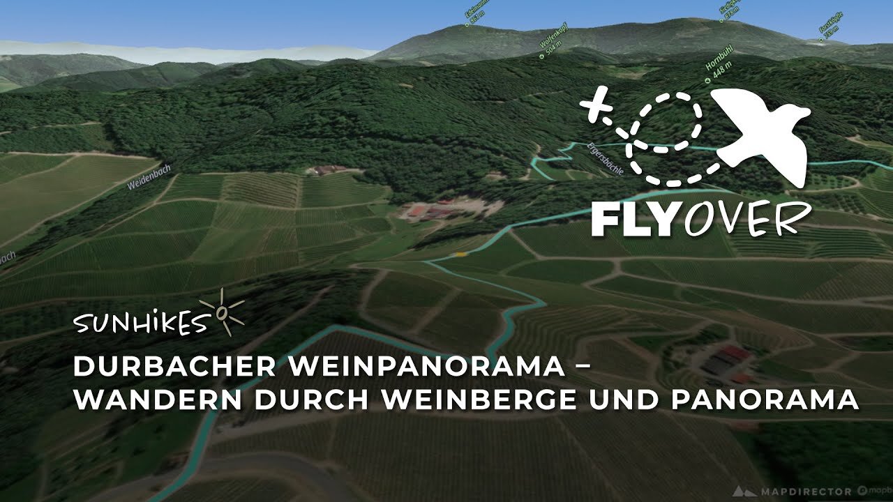 Durbacher Weinpanorama: Wandern durch Weinberge und Panorama – Flyover